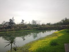 -桤木河湿地公园