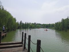 -上海长兴岛郊野公园