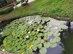 -湾里人家(旺山景区店)
