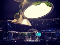 -芭厘农庄老字号·清远鸡