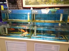 大堂-天津乾毓德饭庄·清真传统炒菜·海鲜烧烤(咸阳路店)