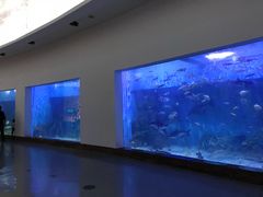 -上海长江河口科技馆