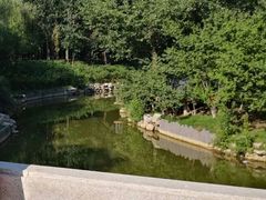 -大兴滨河森林公园