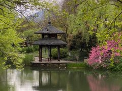 -茅家埠