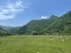 -狮子沟牧场