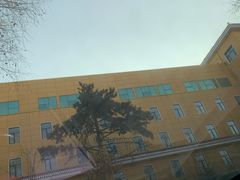 -东北师范大学附属中学(自由校区)
