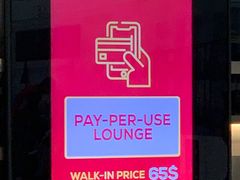 -约翰·菲茨杰拉德·肯尼迪国际机场