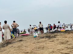-碧海金沙