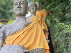 -西双版纳勐泐文化旅游区