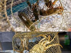 -SHRIMP CLUB万东餐饮钓虾·清吧