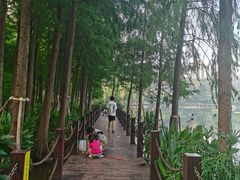 -重庆彩云湖湿地公园