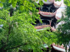 -望江楼公园