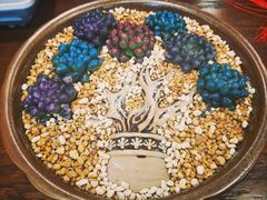 -食神鱼头佛跳墙(百子湾旗舰店)