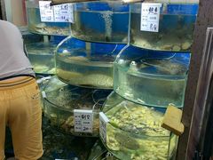 水产区-海之味海鲜大咖·家常菜