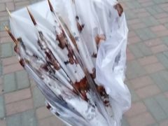 -劳动公园新疆人烤腰子