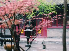 -罔极寺