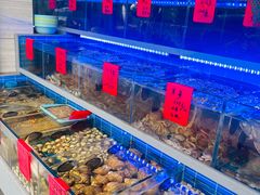 -金海湾海鲜排档(朱家尖店)