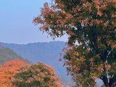 -北京金海湖景区