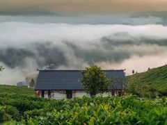 -关山草原
