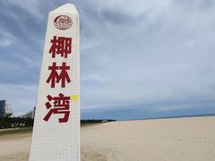 -东郊椰林