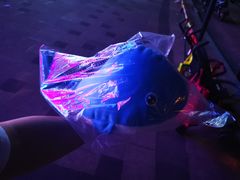 -蓝鲸湾汤泉(包河店)