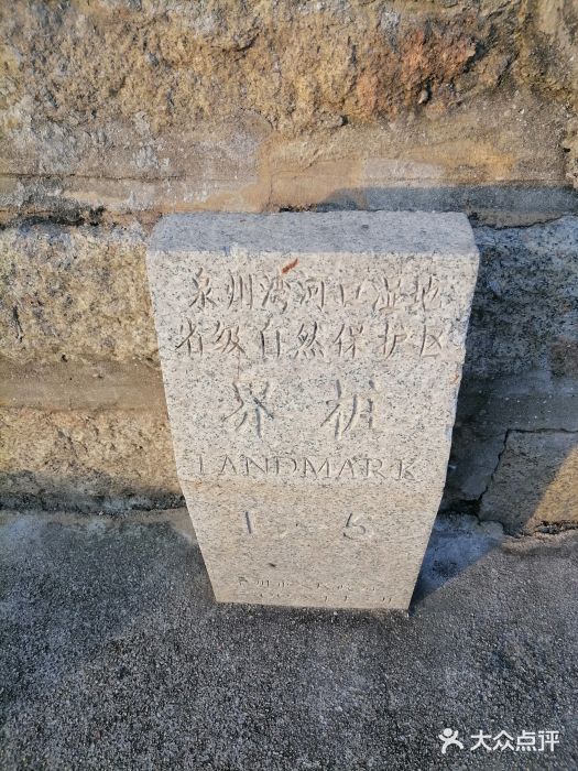 洛阳桥图片