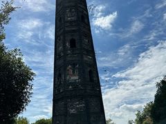 -上海佘山国家森林公园天马山园