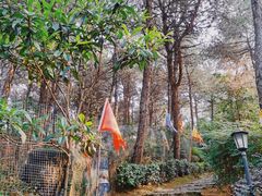 -客乐得玉峰山房车营地