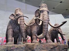-大庆市博物馆
