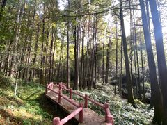 -波尔登森林公园