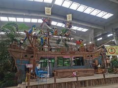 -南宫五洲植物乐园