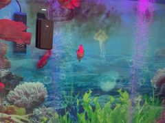 -雅悦齿科(顾村公园店)