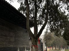 -关林