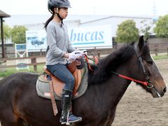 -松声马术俱乐部