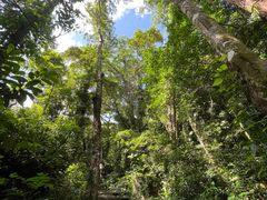 -七仙岭温泉国家森林公园