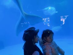 -海合安成都极地海洋公园