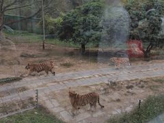 -深圳野生动物园