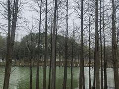 -苏州太湖国家湿地公园