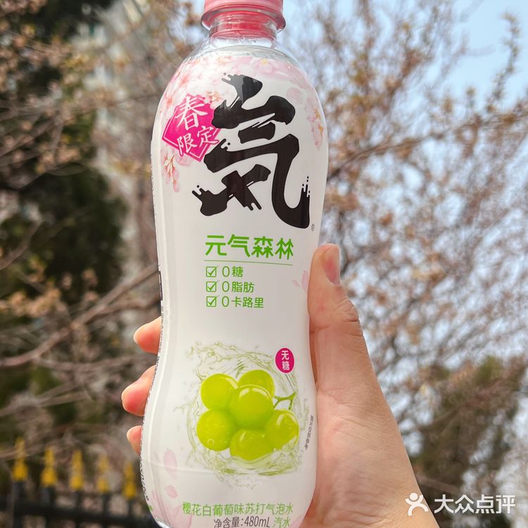 🌸🍃🌸 元气森林，让春日少女心爆棚 🌸🍃🌸