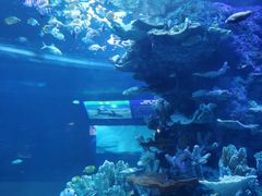 -左海海底世界