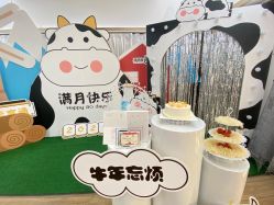 -爱帝宫月子中心(罗湖别墅院)