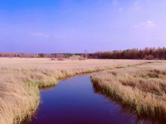 -塞罕坝国家级自然保护区