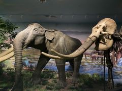 -湖南省地质博物馆