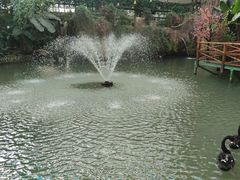 -第五季龙水凤港生态露营农场