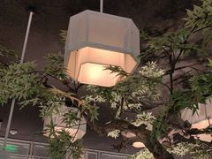 -绿茶餐厅(广州天河城店)