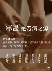 点击看大图 -玛莲朵·海菲秀冰珀科