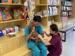 -中农大我爱我爱动物医院·核磁CT·猫病·24小时夜诊中心(石佛营店)