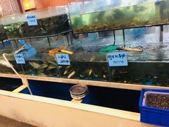水产区-钓台野鱼馆(钱江国际时代广场店)
