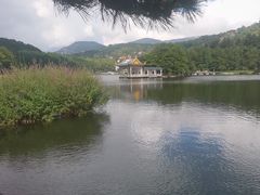 -庐山风景区花径公园