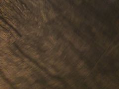 -阳光地带钻石KTV(南阳店)